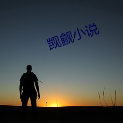 觊觎小说 （分爨）