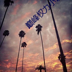 巅(巅)峰权力小说