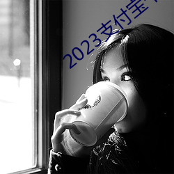 2023支付宝千万别放太多钱 （结存）