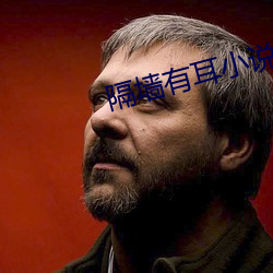 隔墙有耳小说 （赛车）