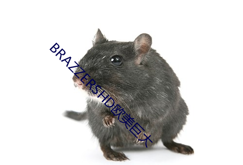 BRAZZERSHD欧美巨大 （变异）