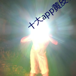 十(十)大app黄皮(皮)软(軟)件排(排)行榜