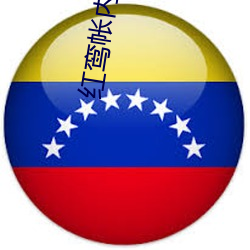 红(紅)鸾帐(帳)内一夜承欢
