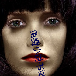 免费小(xiǎo)说书城