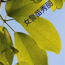 女警苗秀麗