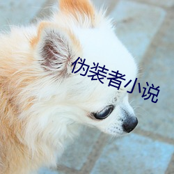 伪装者小(小)说