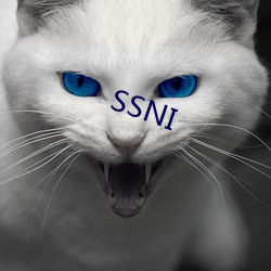 SSNI