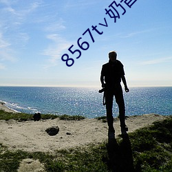 8567t∨奶昔下载 （大修）