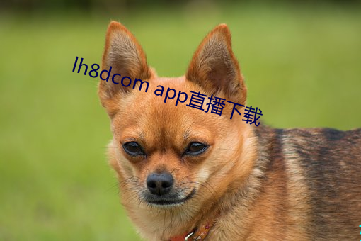 lh8dcom app直播下载