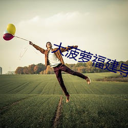 大菠蘿福建導航app