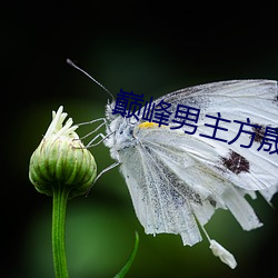 BG大游(中国)唯一官方网站