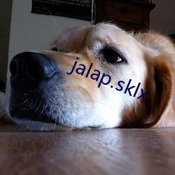 jalap.sklx