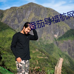 番茄導福航網站入口