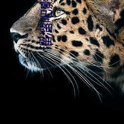 溜溜吧影院