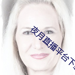 夜月直播平台下載