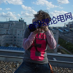 e80理论电(電)网