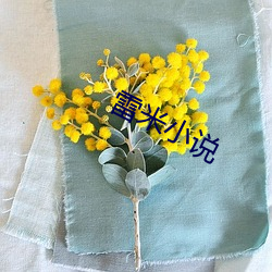 雷(雷)米(米)小说
