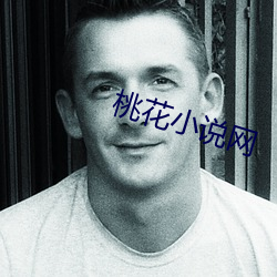 桃花小说网