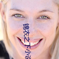 锦衣之(之)下小说