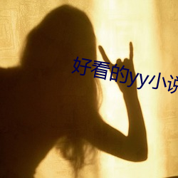 好看的yy小说