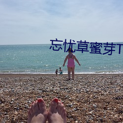 米乐M6·(中国)官方网站