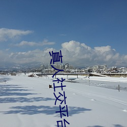 真人社交平台