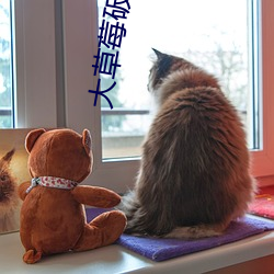 大草莓破解污
