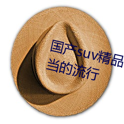 国产suv精品(品)一(一)区二区四区三区(區)相(相)当(當)的(的)流行(行)