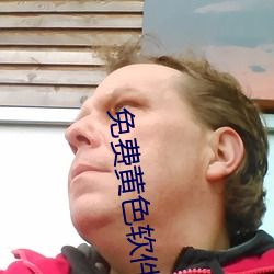 免费黄(huáng)色软(ruǎn)件