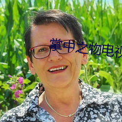 掌中之物电视剧 （万维网）
