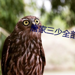 唐家三少全部小说 （风飞云会）