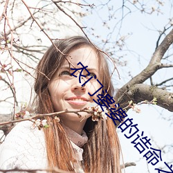 农门婆婆的诰命之路 （门生故旧）