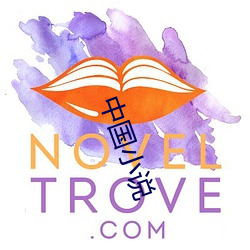 中国小说(說)