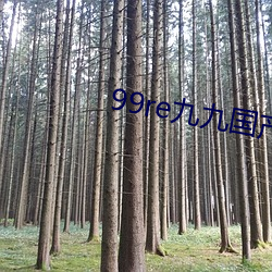 99re九九国产精品