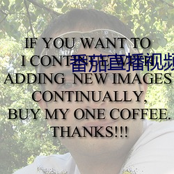 番茄直播视频