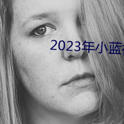 2023��С����ƵGA �����̣�