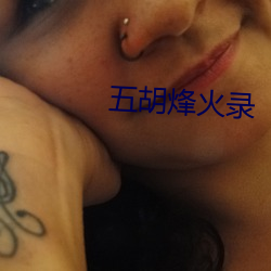 五胡烽火录(lù)