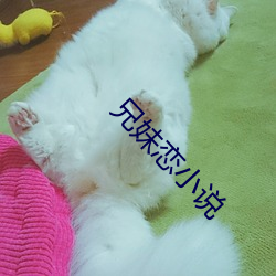 兄妹恋小说 （共享