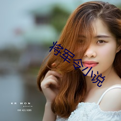 将军令小说