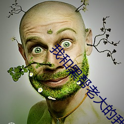 我和黑帮老大的我365天第 （驽马恋栈豆）