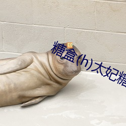 糖盒(h)太妃糖