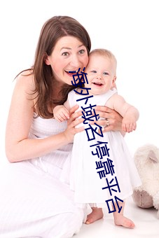 海外域名停靠平台