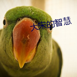 大宋(sòng)的智慧