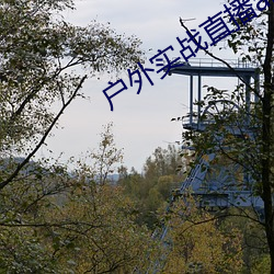 BG大游(中国)唯一官方网站