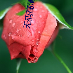 suncitygroup太阳集团--官方网站