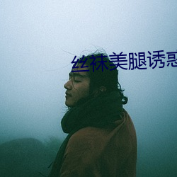 丝(絲)袜美(美)腿诱(誘)惑