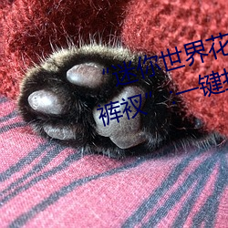 “迷你世(世)界花小楼(樓)脱离衣服裤子和裤衩”:一键打造(造)时尚达(達)人
