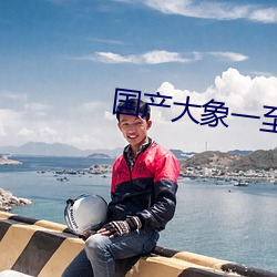 國産大象一至六區