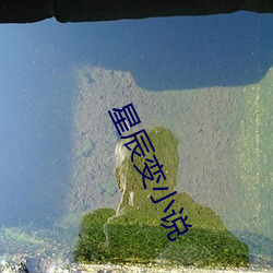 星辰变小说
