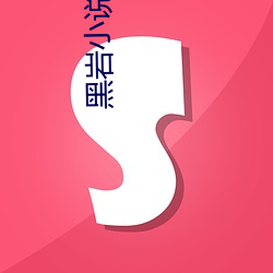 黑岩小说网